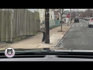 Using the Tomahawk model RC100 remote trap trigger to selectively trap