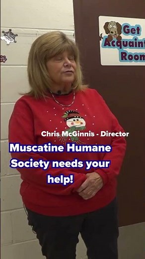 Muscatine Humane Society raising money to help take care of stray cats