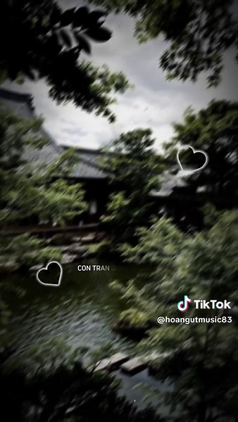 Bố Vợ Chất Chơi Remix - Nhạc Remix CapCut Cuốn Hút