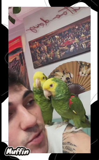 Top 5 parrot talking singing moments