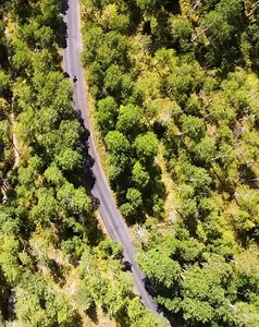 7.3K views · 218 reactions | I love my home  ⠀⠀⠀⠀⠀⠀⠀⠀⠀ ⠀⠀⠀⠀⠀⠀⠀⠀⠀ I am so lucky to live in Utah!! If you haven’t already, get out and explore Utah Valley and #findyourhappyhere! ➡️ utahvalley.con ⠀⠀⠀⠀⠀⠀⠀⠀⠀ ⠀⠀⠀⠀⠀⠀⠀⠀⠀ #CosmoCougar #ExploreUtahValley | Cosmo the Cougar | Facebook