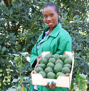 Role of women in Agriculture- South Africa