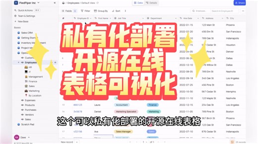 绝世高手版的私有化部署开源在线表格，没有之一！#nocode #数据可视化 #在线表格 #表格 #CRM
