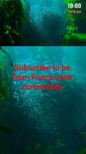 LIVE 🔴 Study With Me 6 Hours | Pomodoro 50/10 | Silent Focus Session with Timer & Alarm ⏰