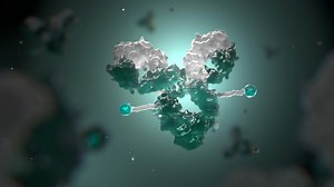 We're pursuing innovative science with antibody-drug conjugate (ADC) research - MSD