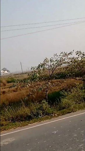 Simple Kangura Mehndi design l कन्गुरा मेहंदी कैसे लगाए l feet mehndi design l unique leg mehndi