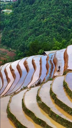 Mù Cang Chải mùa nước đổ: Khi cả núi rừng hóa thành những tấm gương khổng lồ
