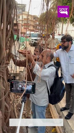 #SaveTrees | Goa Green Brigade performed puja of banyan trees which is being cut off due to Smart city road work at St. Inez, Panaji on Friday. | Goa News Hub