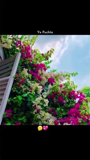 Me : Tum Itni Sundar Ho Kii ? 🤍🤌🏻😔 #lyrics #trending #aesthetic #ytshort