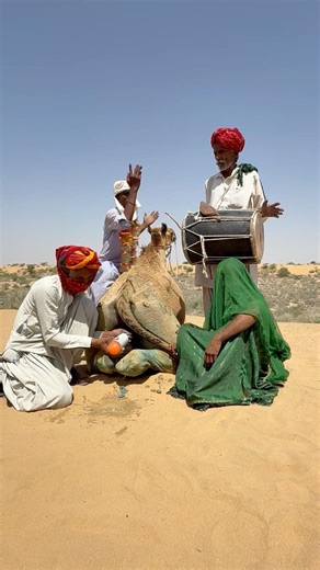 احتفال بدوي رائع حيث جسدت العروس تقاليد الصحراء بالجمل والطبول في أجواء مميزة