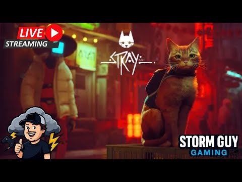 Stray Full Playthrough LIVE | Part 2
