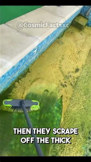 "How They Clean NASTY Pools The Results Are Wild”#poolcleaning #beforeandafter#satisfying #deepclean