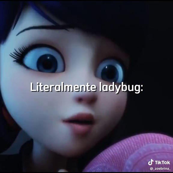 Miraculous Ladybug: Cat Noir and Ladybug Confrontation