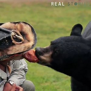 This is the heart-warming story of how a broken man forged a friendship with a bear - changing his life for the better forever 🐻 | Real Stories