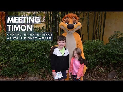 Meeting Timon from Lion King at Disney's Animal Kingdom