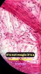 Uncovering the Secrets of Heart Healing