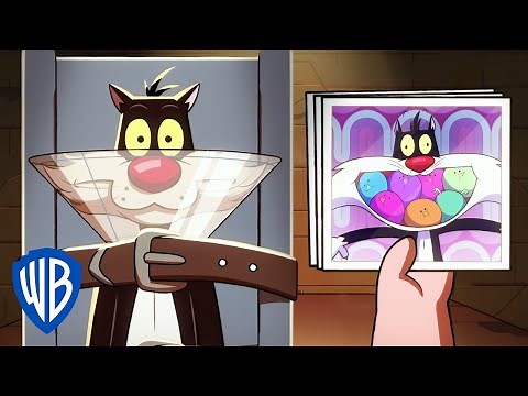 King Tweety | Sylvester Would NEVER Hurt a Bird! | @WB Kids