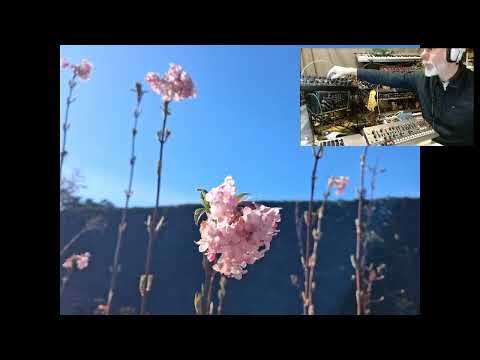 Exploring 3 (Roland JX08 & Kobol Expander)