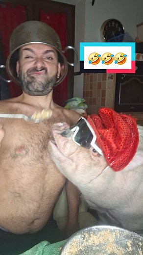 Risate Divertenti: Video Balli e Situazioni Comiche