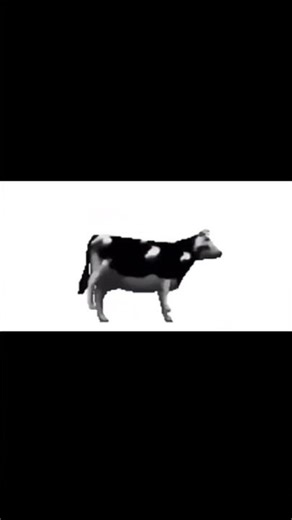 Polish cow #polishcow #poland #nation #song #memes