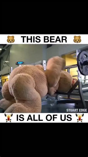 Stuart Edge on Reels