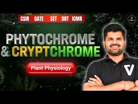 Phytochrome & Cryptochrome | L12 | Plant Physiology | Dr. Sanjay Yadav | CSIR | GATE | DBT |