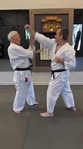 15K views · 139 reactions | Just one application of blocking and countering from the Morote blocking drill. There are many more options; this is just an example. • Repost @shinshin_mugendo | Karate Techniques | Facebook