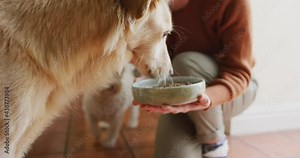 Caucasian woman feeding her pet dog from bowl in kitchen at home