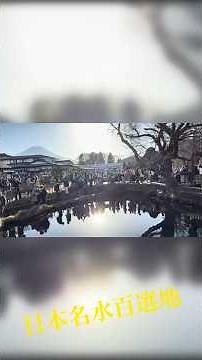 一度は訪れたい綺麗な湧水池の『忍野八海』