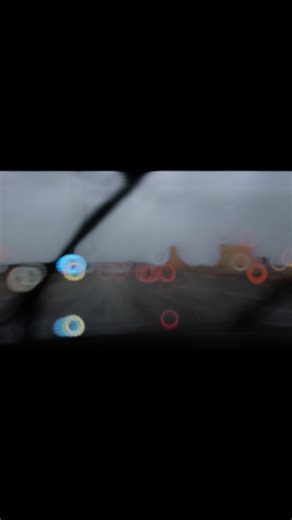 #sanangayongpasko #chritmas You have brains in your head. You have feet in your shoes. You can steer yourself any direction you choose, merry Christmas