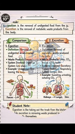 CBSE Class 10 Biology – Chapter 1Life Processes (Full Chapter Explanation)