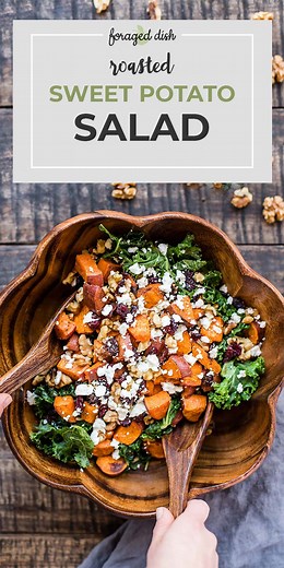 Roasted Sweet Potato Salad with Cranberries, Walnuts, and Goat Cheese — Foraged Dish