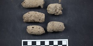 Archaeologists now have a handy new tool for analyzing paleo poop