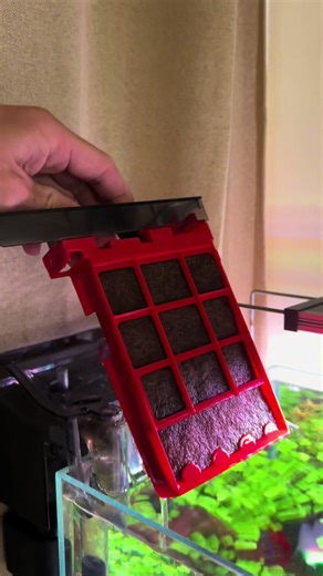 Essential Guide to Replacing Aquarium Filter Pads