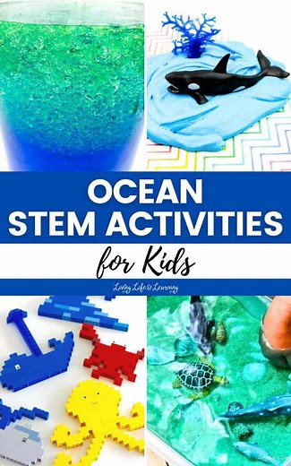 Ocean STEM Activities for Kids