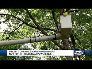 Utility companies warn homeowners not to trim trees near power lines