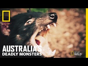 Australia's Top 3 Stone Cold Killers | Australia's Deadly Monsters