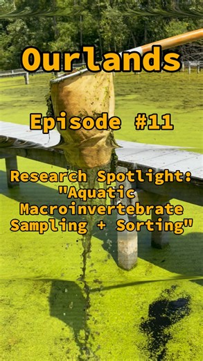 The Wilma H. Schiermeier Olentangy River Wetland Research Park | Ourlands Episode 11 Research Spotlight: “Aquatic Macroinvertebrate Sampling + Sorting” ft. Hunter Heyden! 🎥🐚 Welcome to Ourlands, an... | Instagram