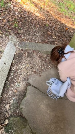 さんじゅーろー【公式】 | 2026.1.5 猫城主さんじゅーろー初詣🎍 | Instagram