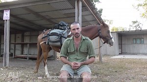 59K views · 994 reactions | “Australian Gone Wild” This post has...