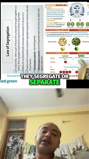 Mendels Law of Segregation Explained #shorts #education #biology #video #neet #science #viral #reels