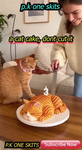 142K views · 1.3K reactions | cat cake | PK One Skits | Facebook