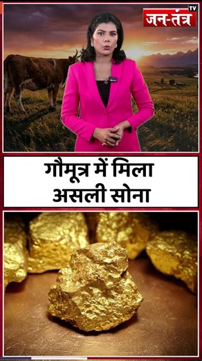 Gold in Cow Urine? Science ने किया बड़ा दावा! #gold #science #research