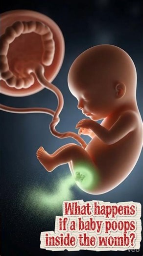 Baby Poops Inside the Womb?! Here’s What Happens😳 (3D Animation)