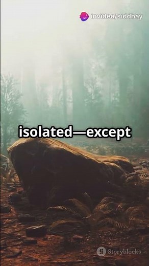 Sator (2019) Movie Explained in 60 Seconds!