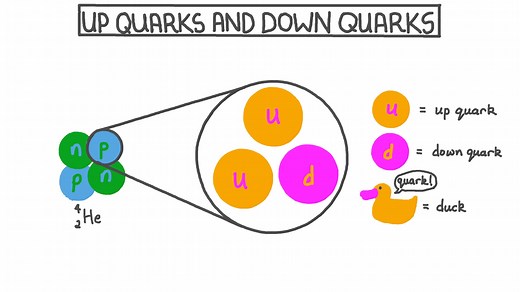 Up Quarks and Down Quarks