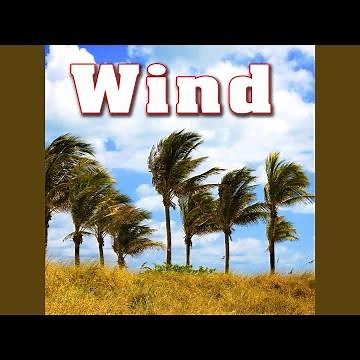 Low Wailing Gale-Force Violent Wind