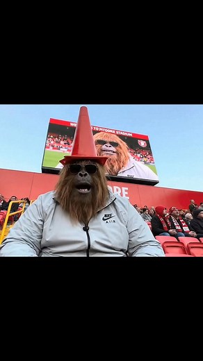 28K views · 311 reactions | Aberdeen 0 Celtic 2. Great weekend if Fitbaw. Where yous want me next ?!禮#scottishfootball #spfl #aberdeen #celtic #rangers #dundee #kilmarnock #hibs #dundeeutd | Big Foot Big Shoe | Facebook