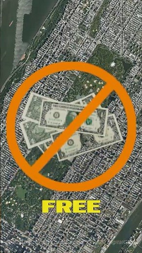 Did you Know You can get a Free Tree in NYC