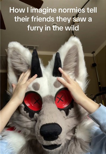 Whos gonna believe them?? Not me... #furry #furrytrash #letmeout | furry